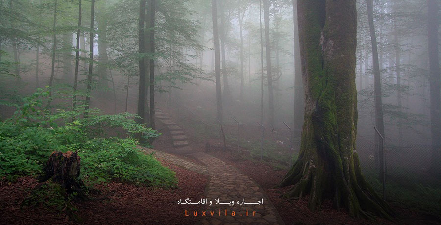 اجاره ویلا در نمک آبرود از سایت لوکس ویلا