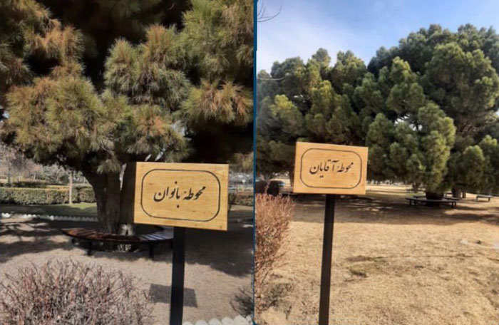 فضای سبز دانشگاه فردوسی