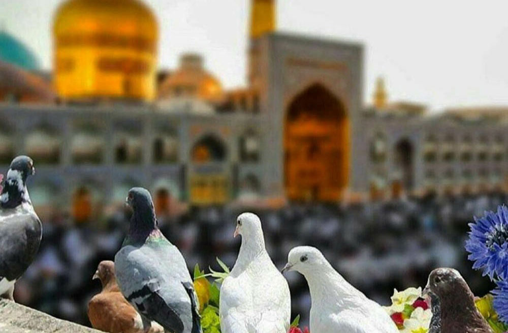 خرید آنلاین بلیط قطار شاهرود مشهد از فلای تودی