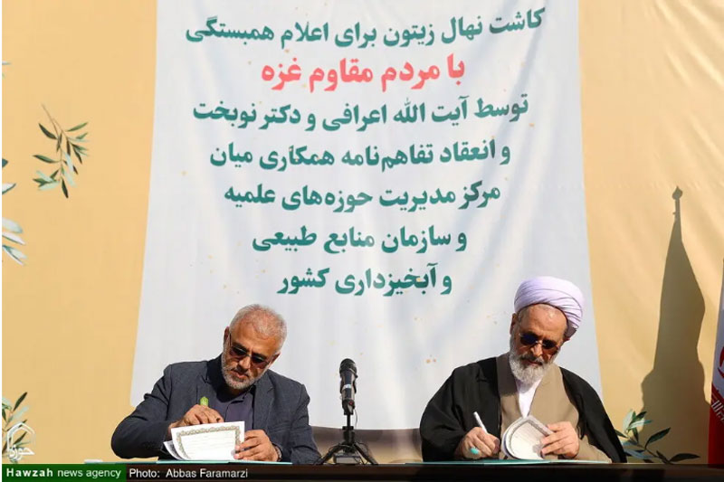 تفاهم نامه برای کاشت نهال زیتون