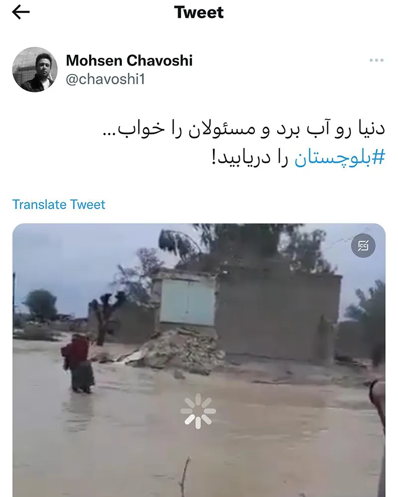 توئیت محسن چاووشی