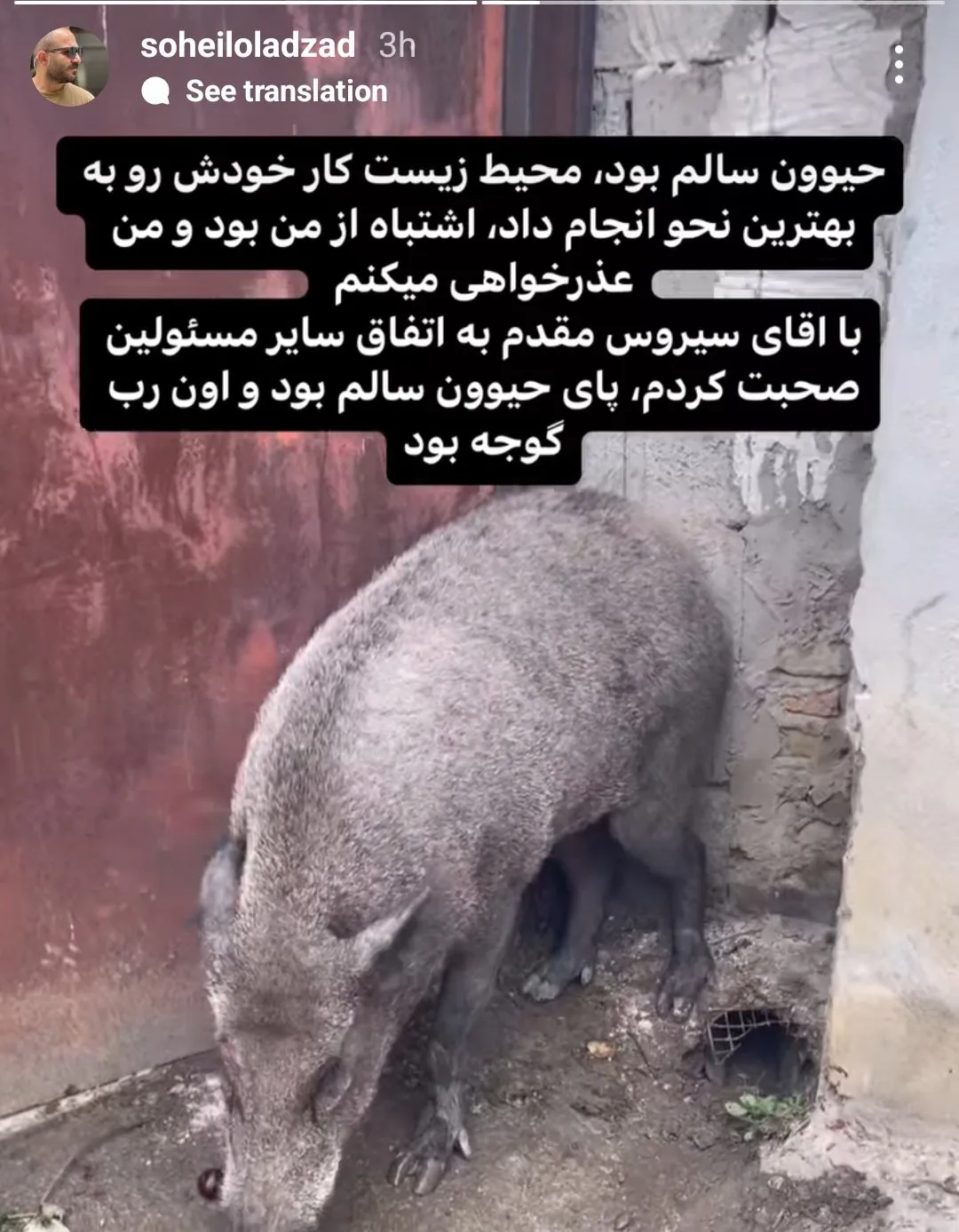 استوری اولادزاده