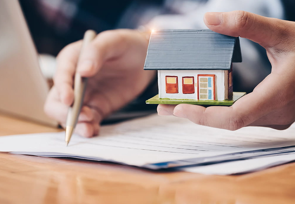 وکیل ملکی کیست؟